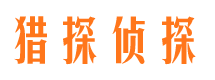 龙湖市调查公司